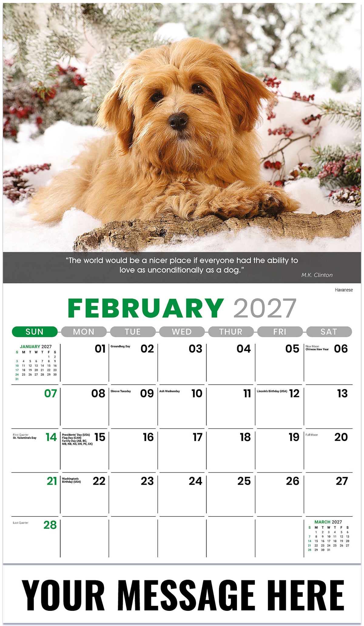 Dogs 2027 February