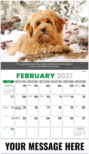 Dogs 2027 February