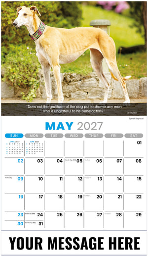 Dogs 2027 May