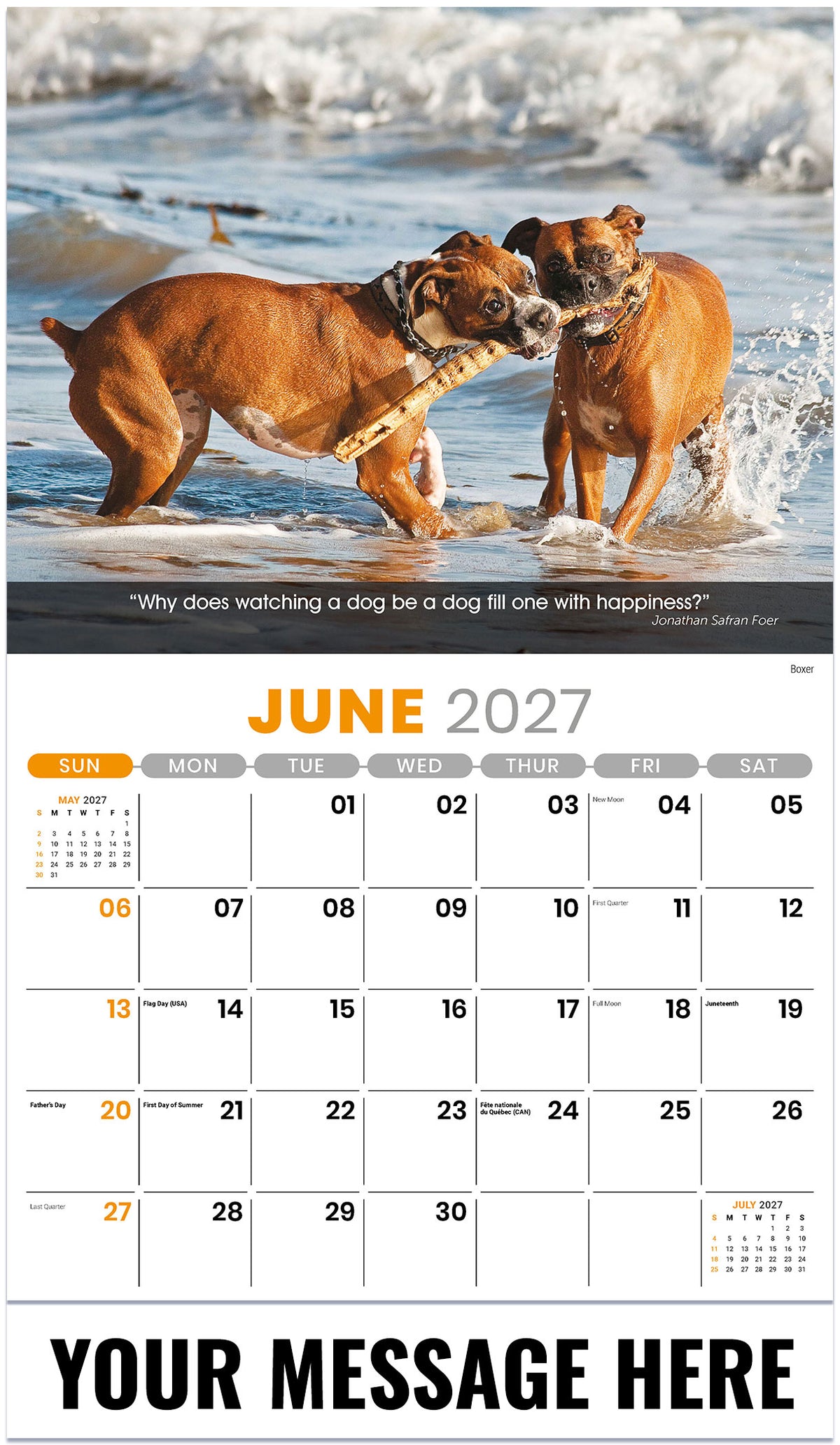 Dogs 2027 June