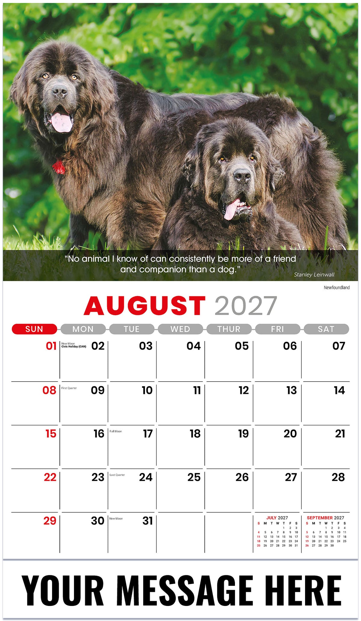 Dogs 2027 August