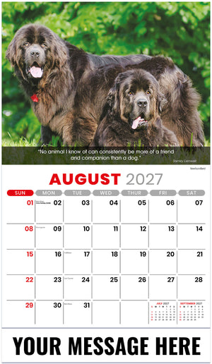 Dogs 2027 August