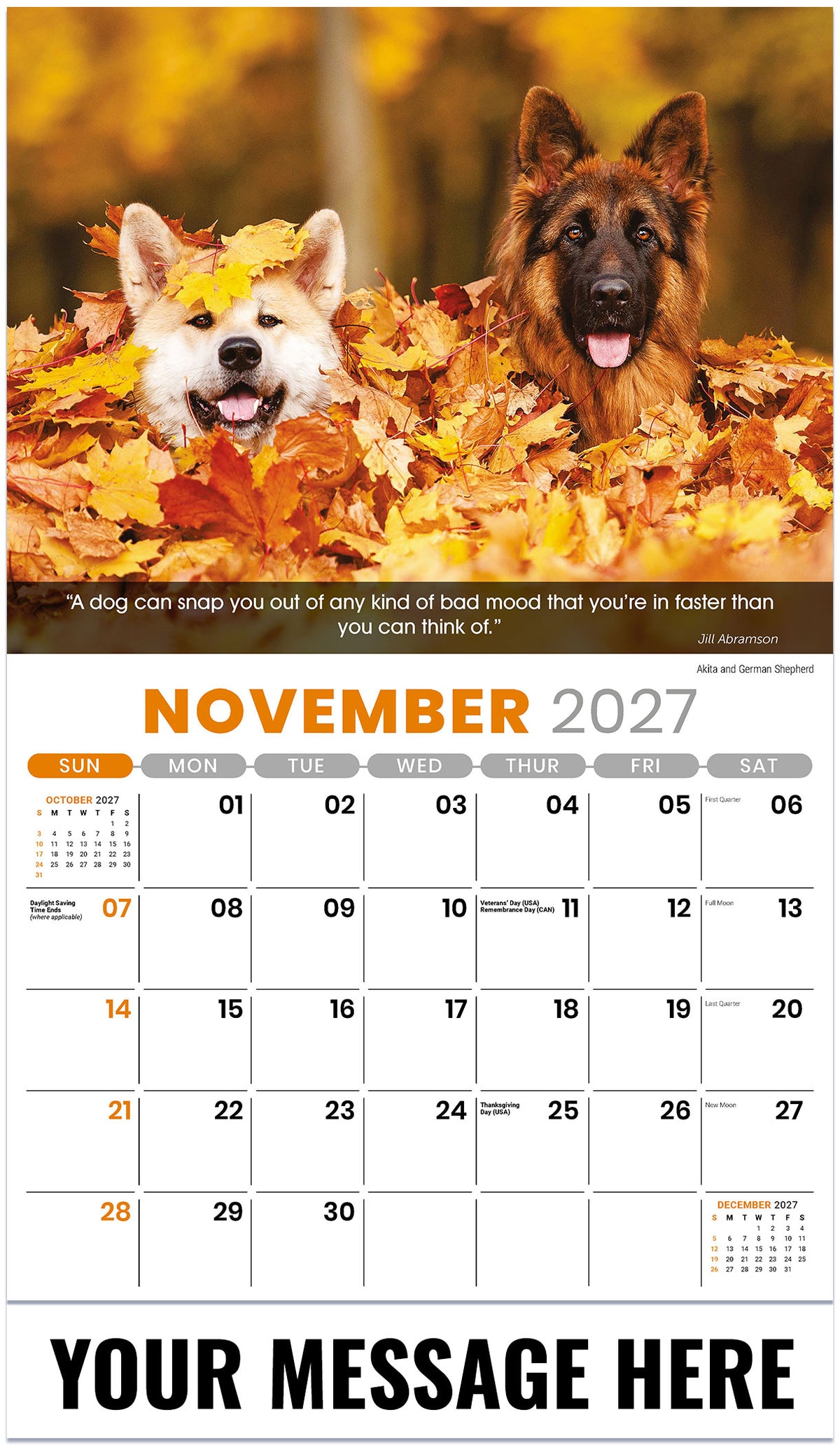 Dogs 2027 November
