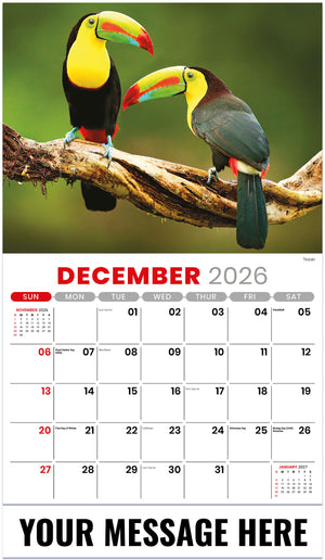 International-Wildlife 2026 December