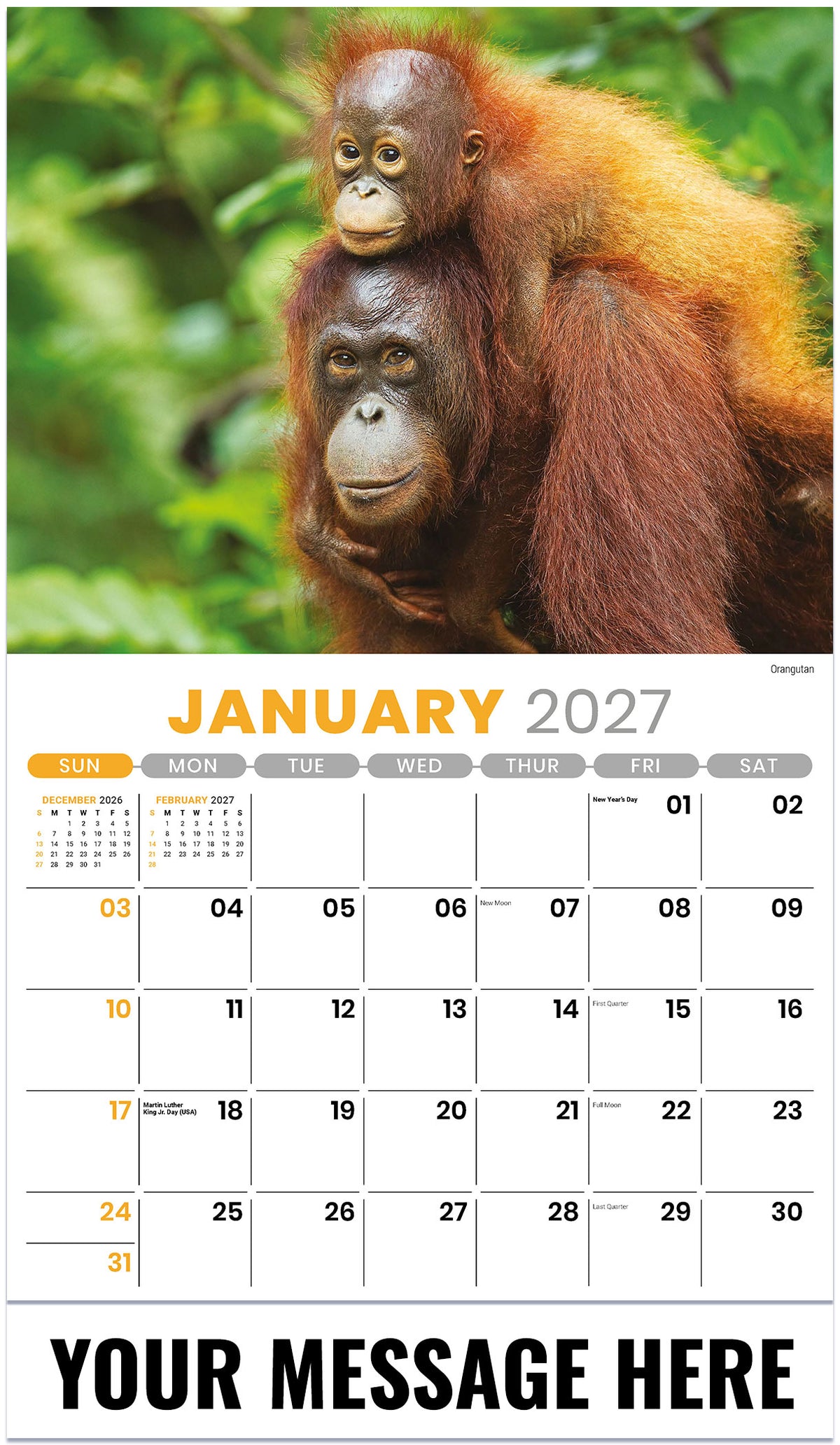 International-Wildlife 2027 January