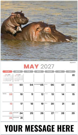 International-Wildlife 2027 May