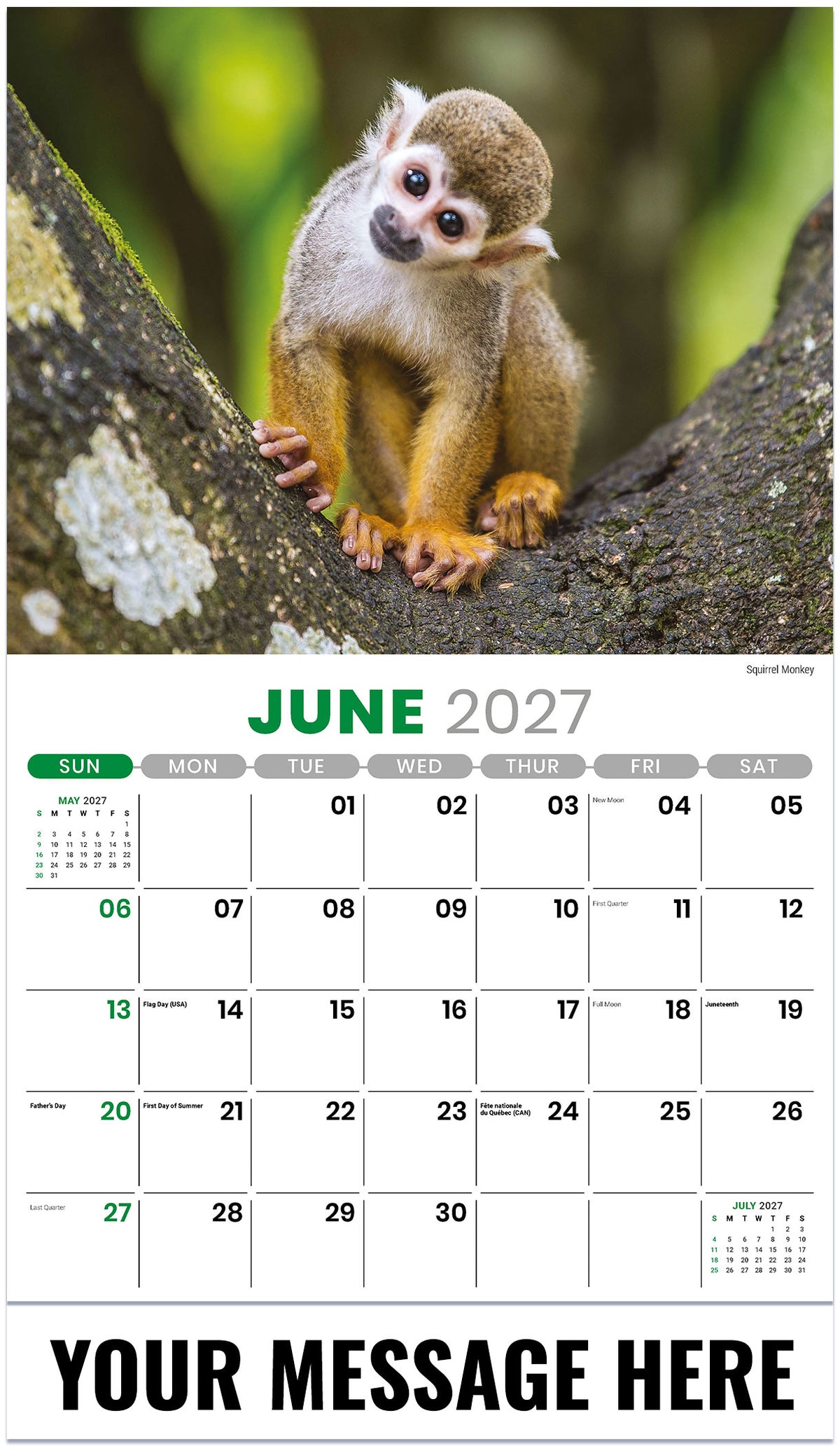 International-Wildlife 2027 June