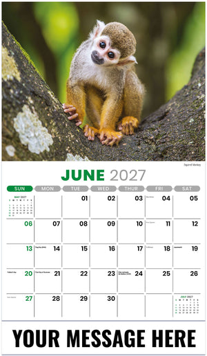 International-Wildlife 2027 June