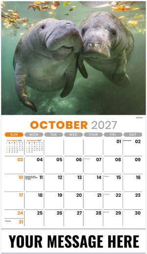 International-Wildlife 2027 October