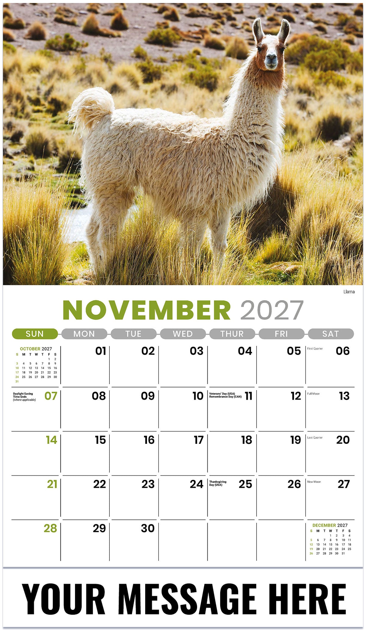 International-Wildlife 2027 November