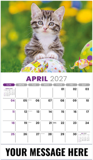 Kittens 2027 April