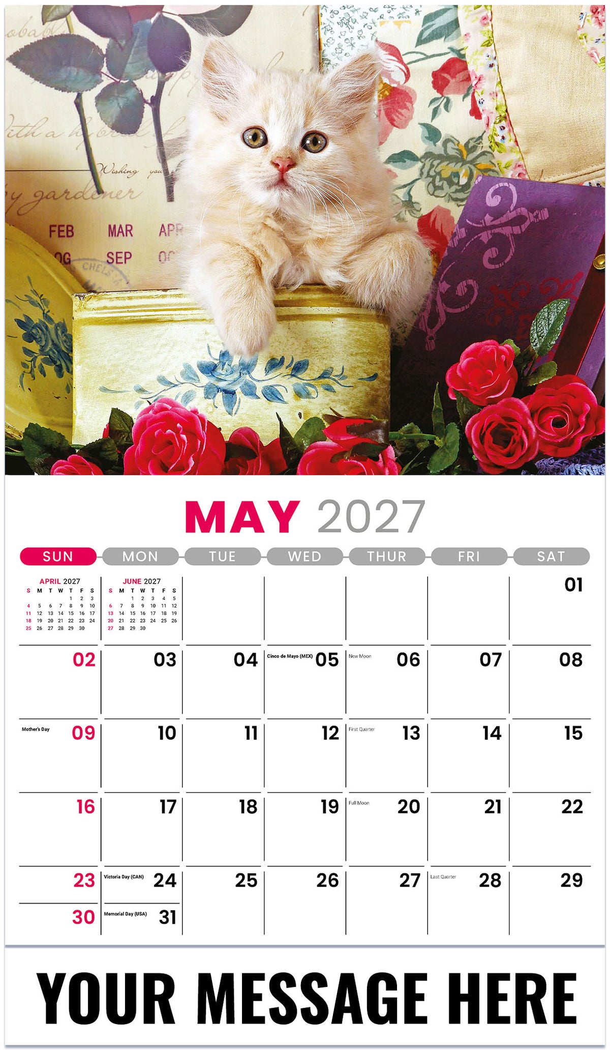Kittens 2027 May