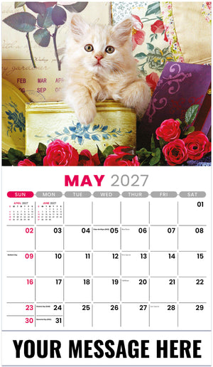 Kittens 2027 May