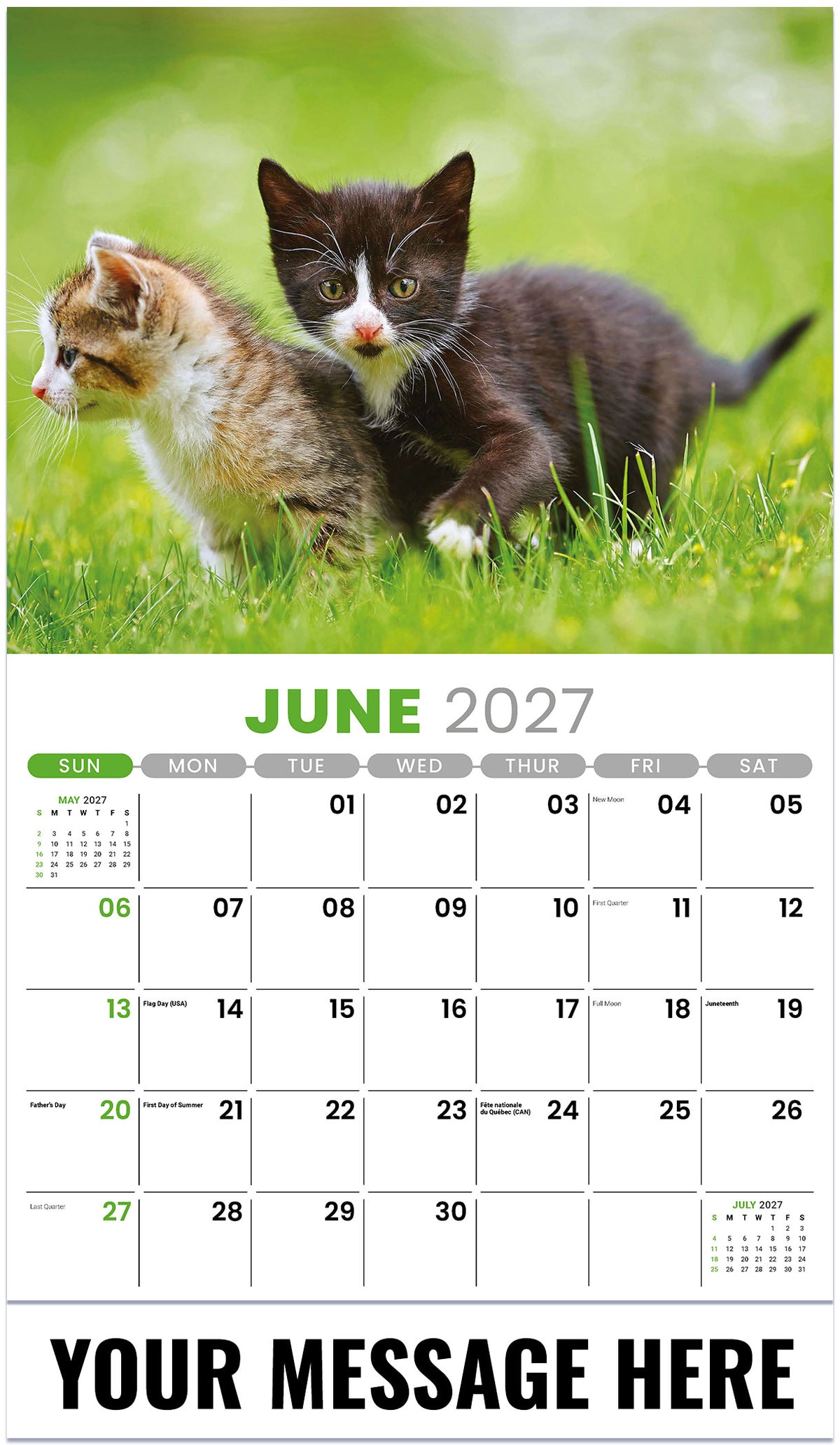 Kittens 2027 June