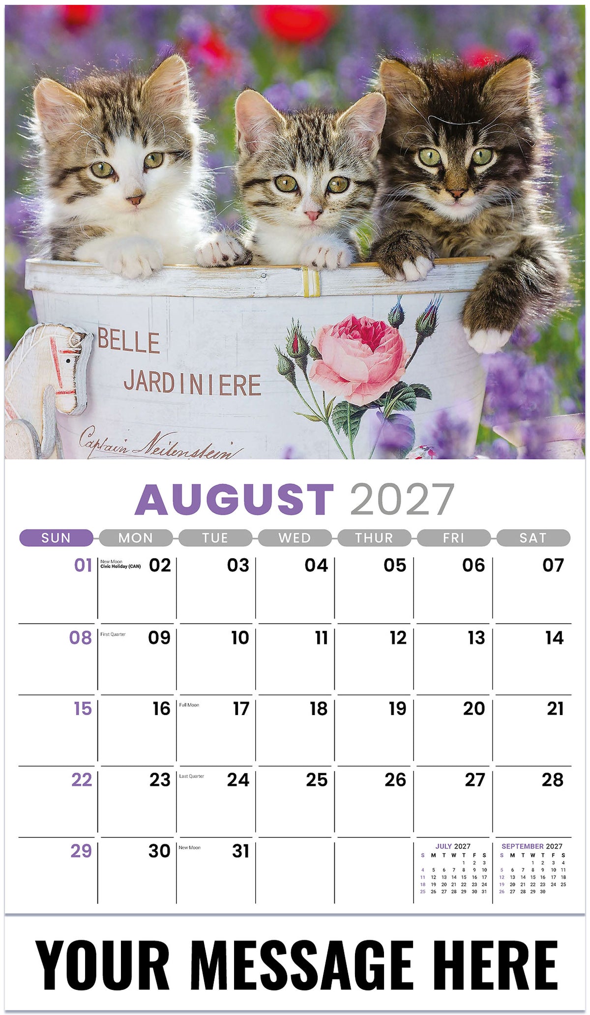 Kittens 2027 August