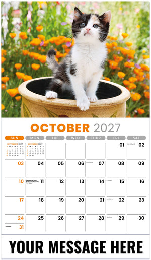 Kittens 2027 October