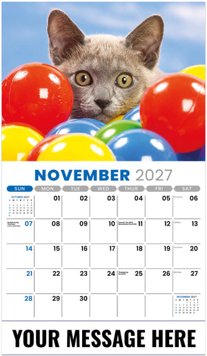 Kittens 2027 November