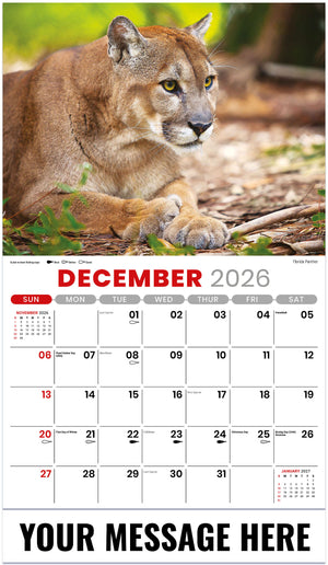 NA-Wildlife 2026 December