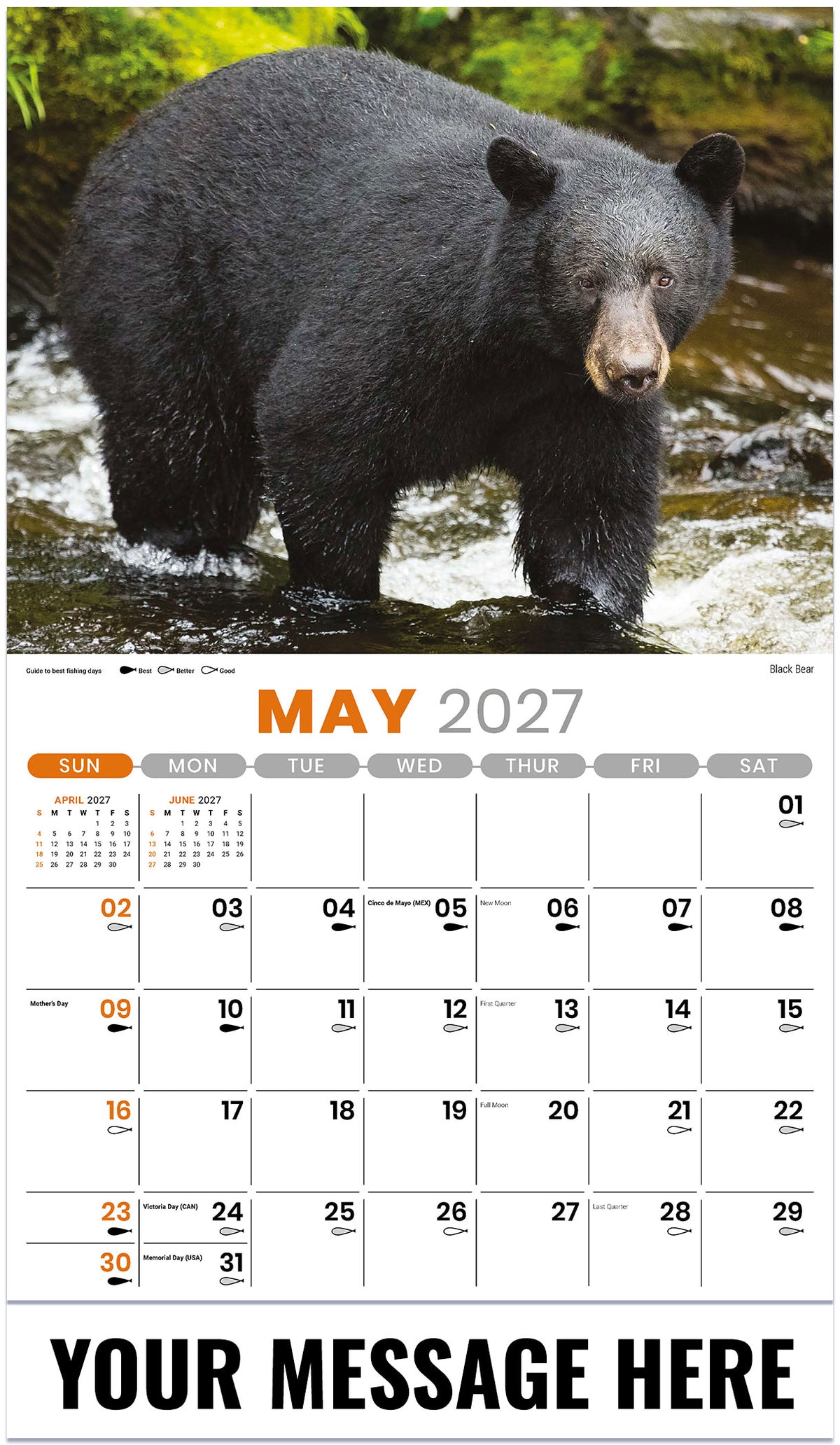 NA-Wildlife 2027 May