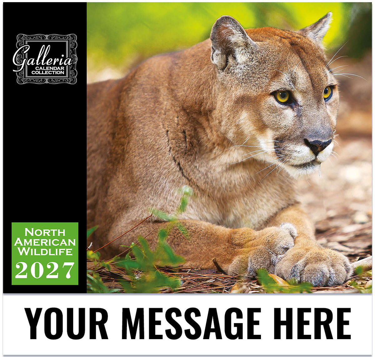 NA-Wildlife-galleria