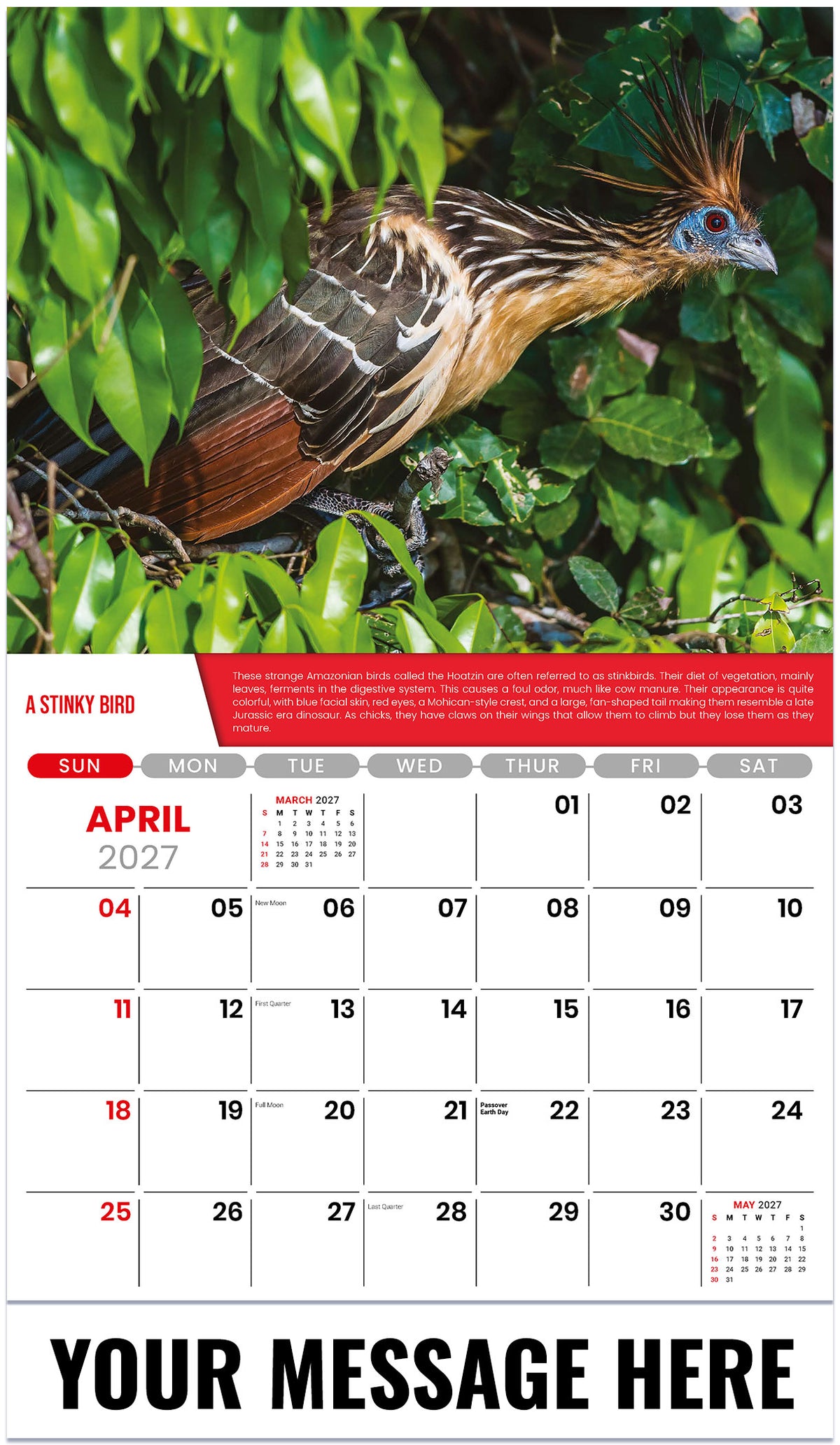 Planet-Earth 2027 April