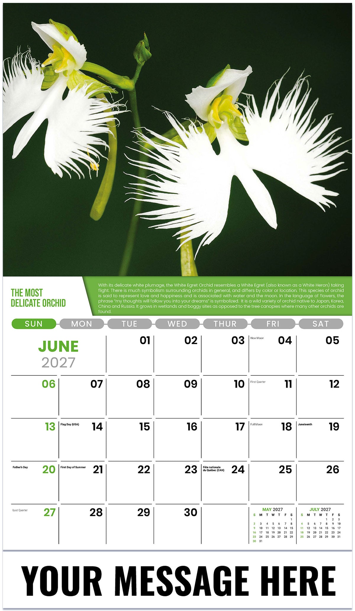 Planet-Earth 2027 June