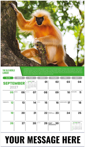 Planet-Earth 2027 September