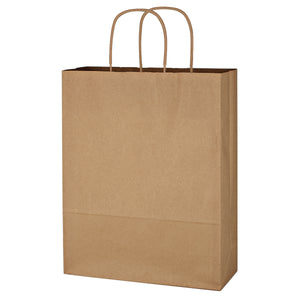 Kraft Paper Brown Shopping Bag - 10" x 13" - Natural