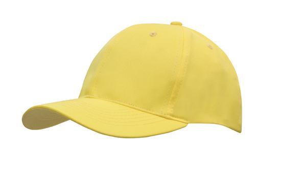 6 Panel Budget Cap - Gold