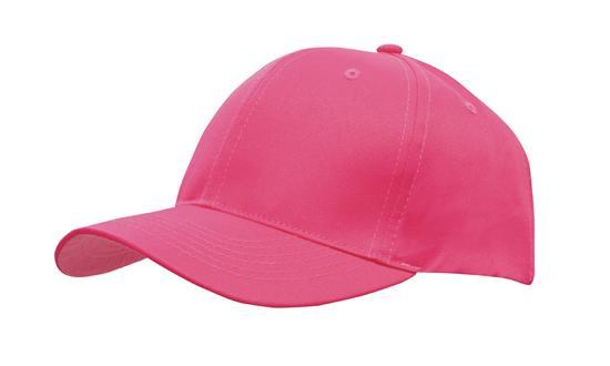 6 Panel Budget Cap - Pink
