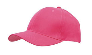 6 Panel Budget Cap - Pink