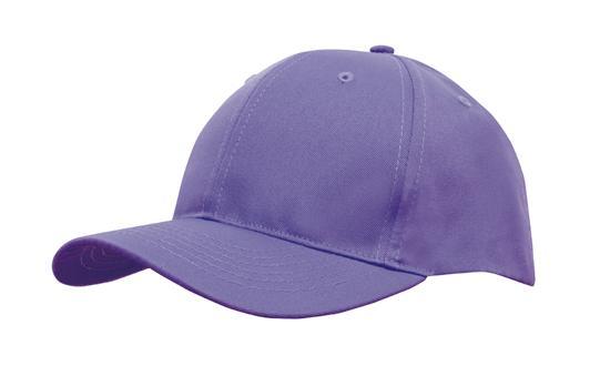 6 Panel Budget Cap - Purple