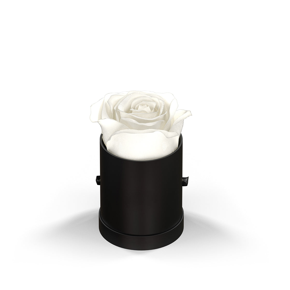 Classique by VeF Le Mini™ Round - Black Box