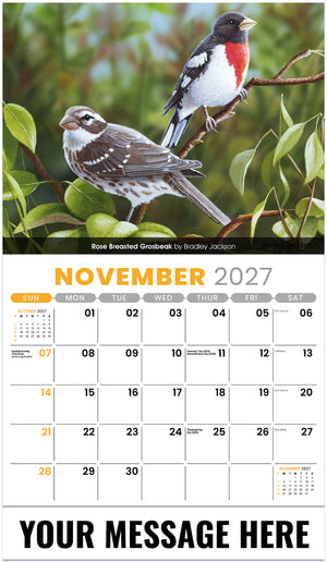 Garden-Birds 2027 November