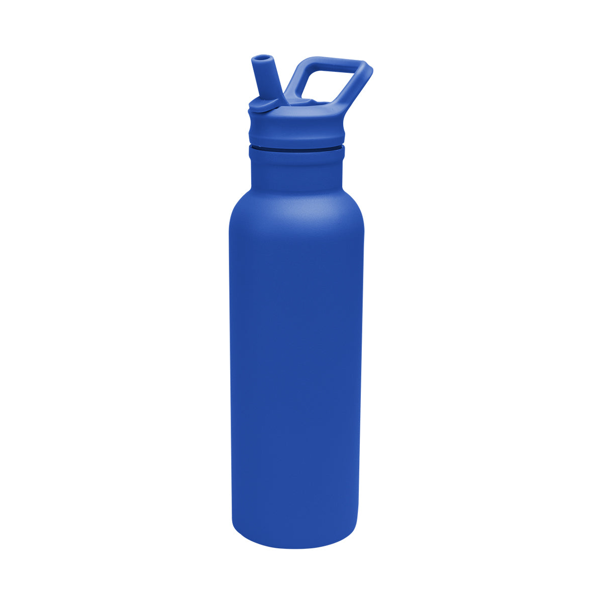 17 Oz. Hailey Stainless Steel Bottle - Blue
