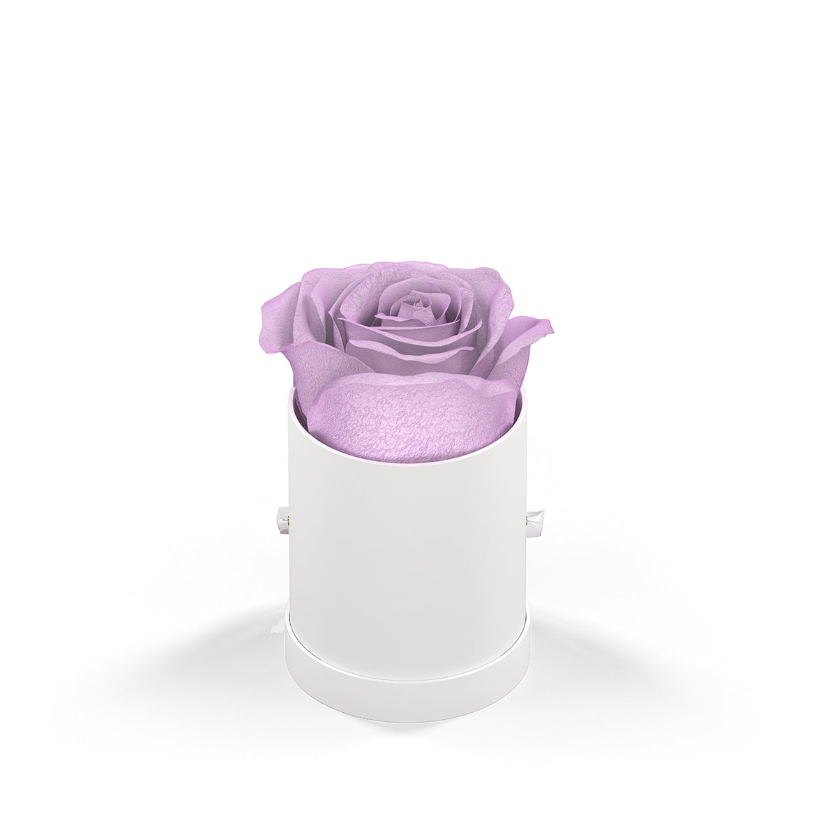 Classique by VeF Le Mini™ Round - White Box