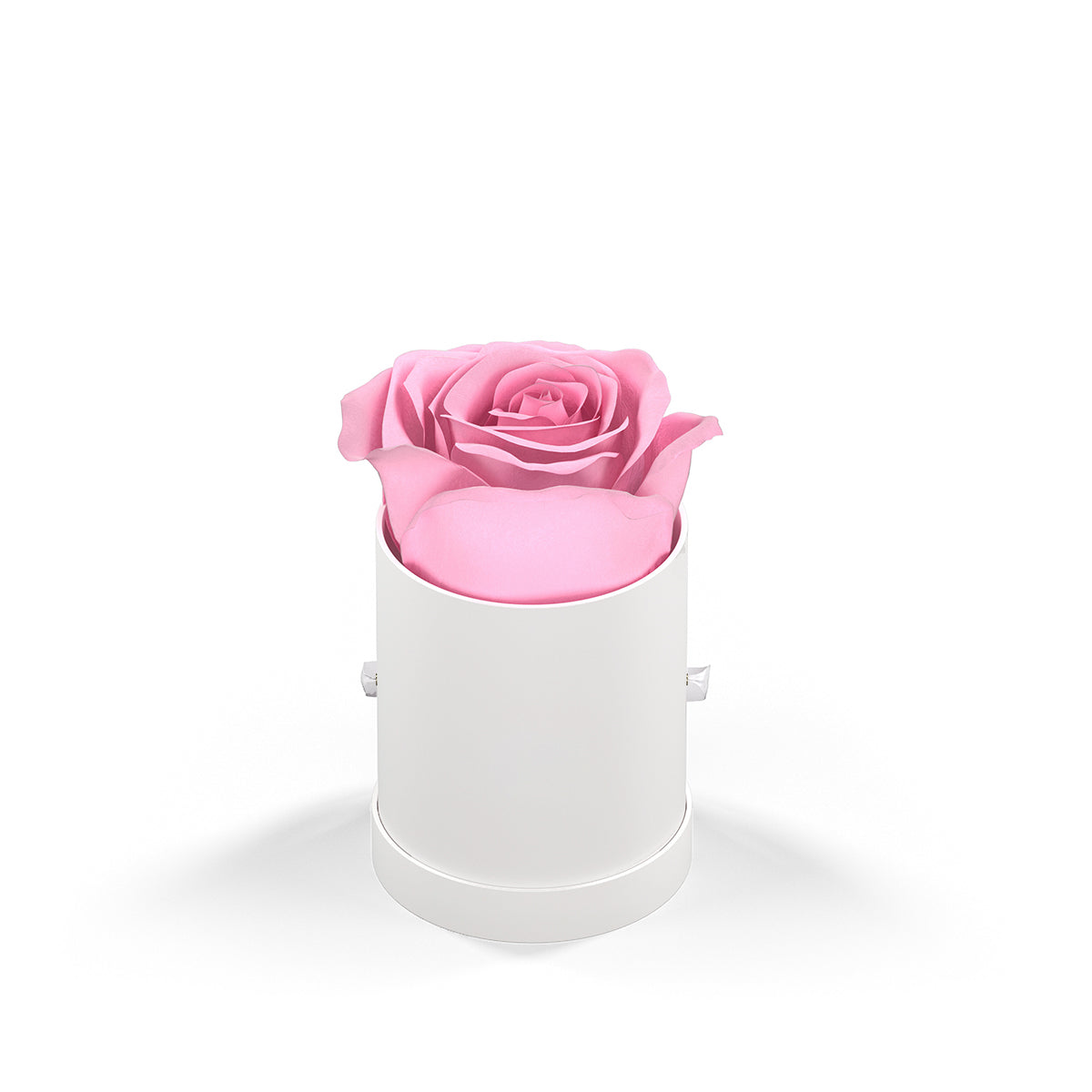Classique by VeF Le Mini™ Round - White Box