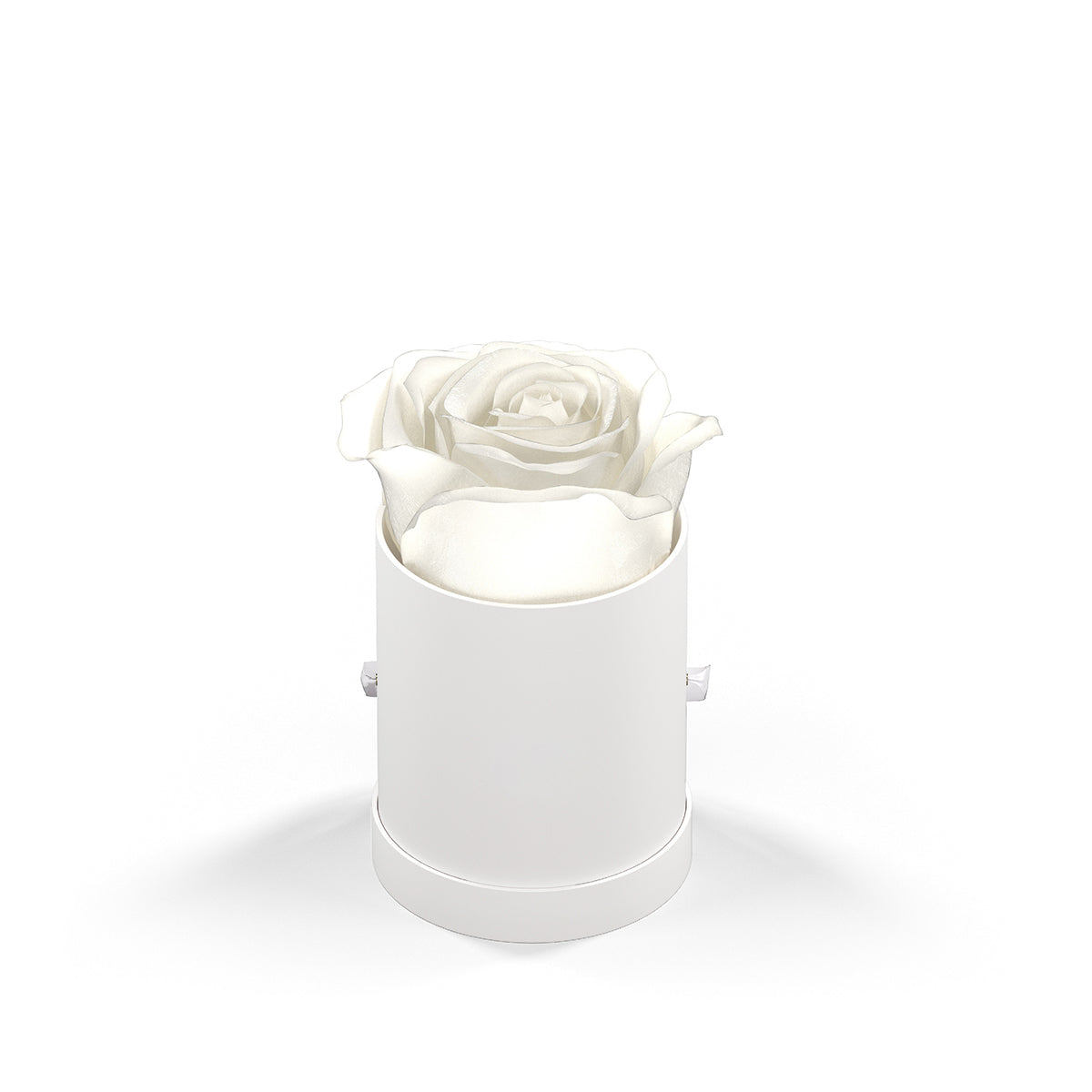 Classique by VeF Le Mini™ Round - White Box