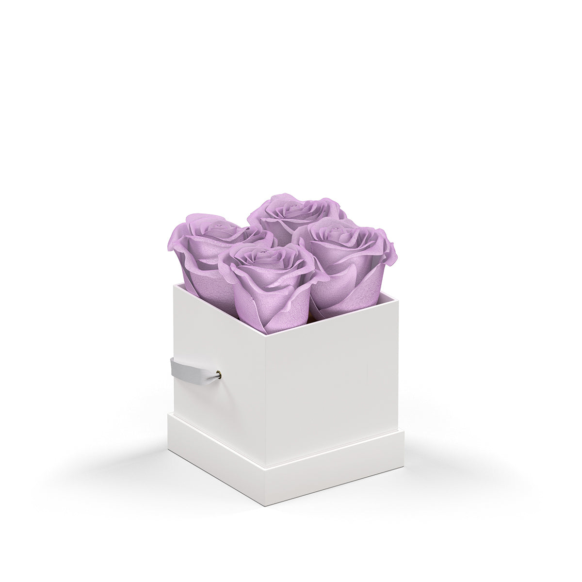 Classique by VeF Petit - White Box