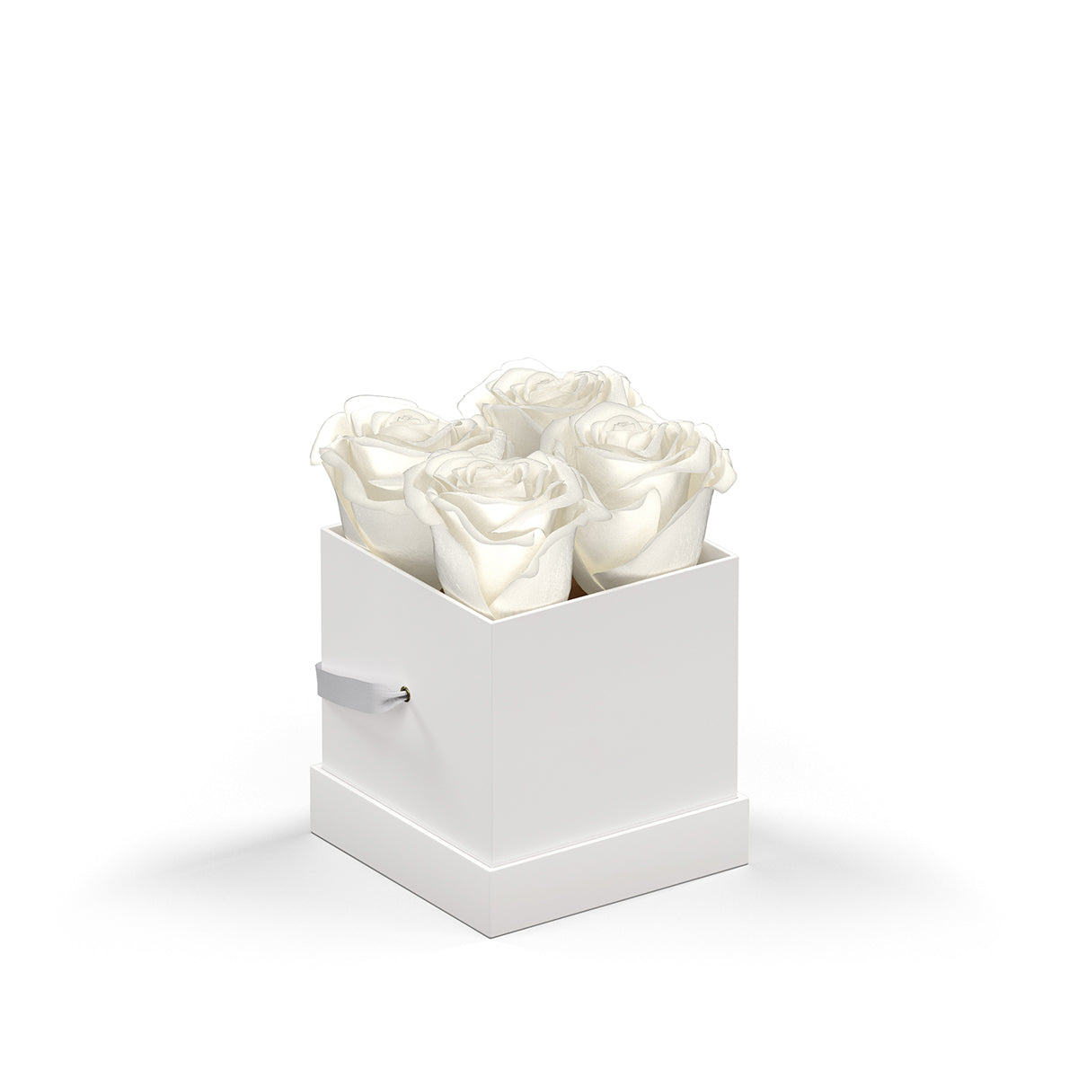 Classique by VeF Petit - White Box