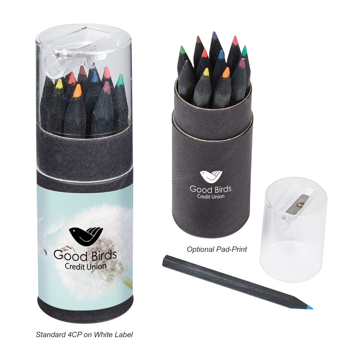 12-Piece Colored Pencils In Matte Black Tube With Sharpener