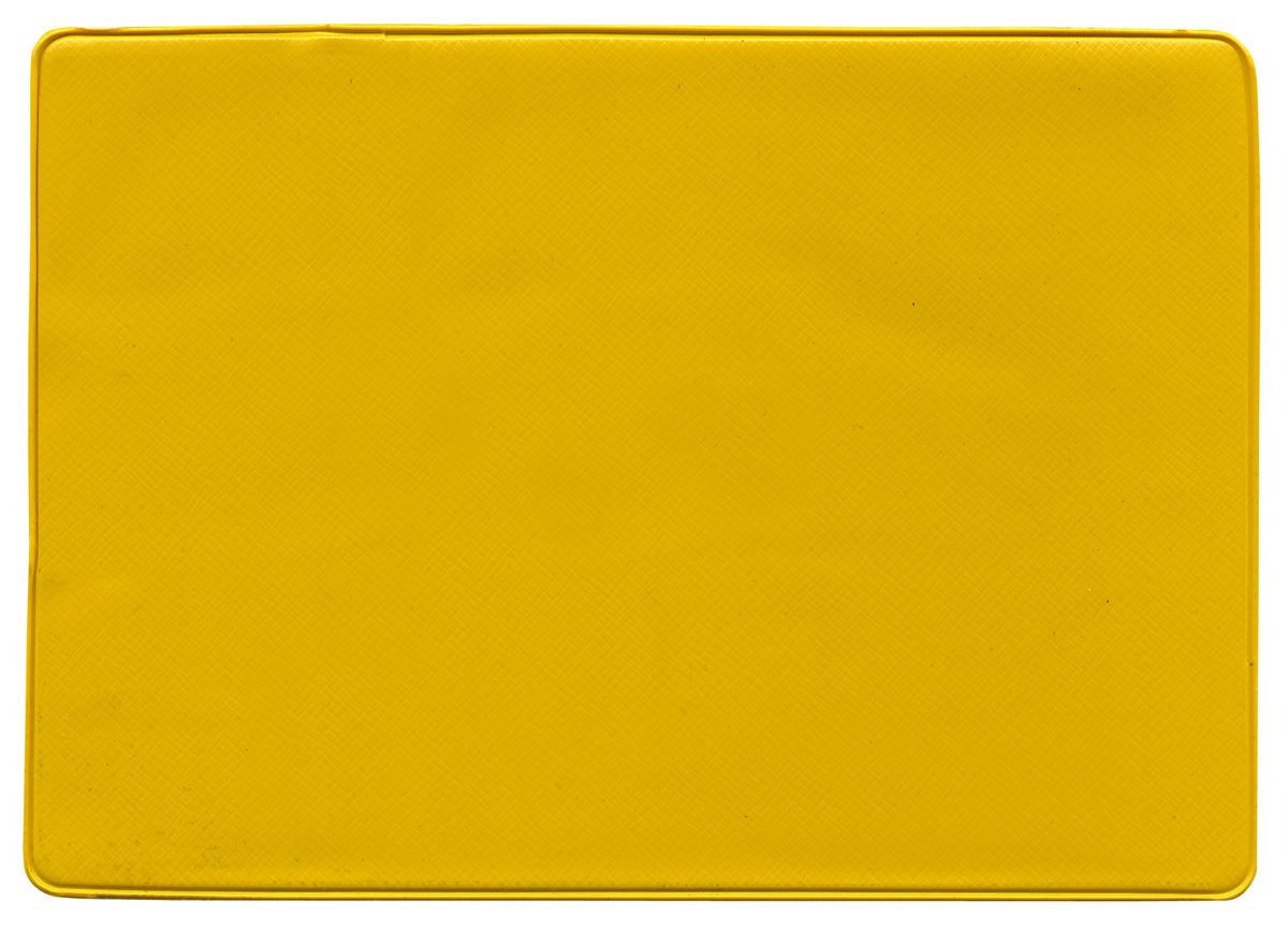 Insurance Card Holder